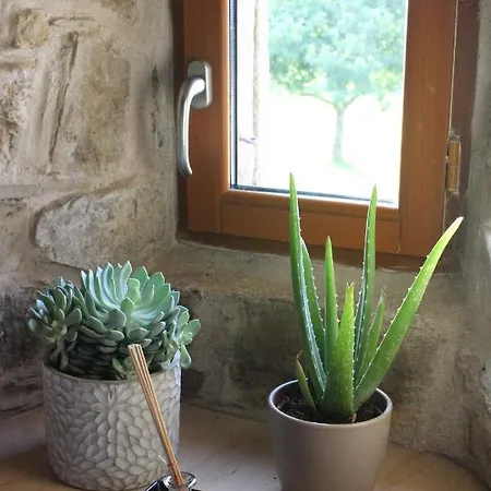 Holiday home La Colline Aux Ecureuils *